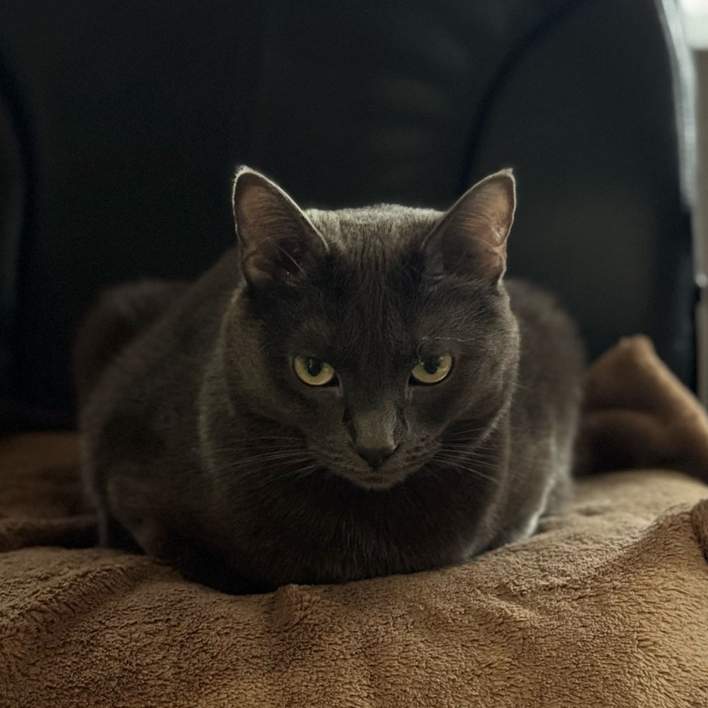 Meet your Posher, Raisha